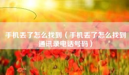 手机丢了怎么找到（手机丢了怎么找到通讯录电话号码）