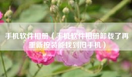 手机软件相册（手机软件相册卸载了再重新按装能找到旧手机）