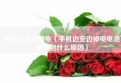 手机边充边掉电（手机边充边掉电电池没鼓包什么原因）