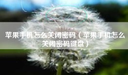 苹果手机怎么关闭密码（苹果手机怎么关闭密码键盘）