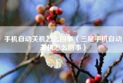 手机自动关机怎么回事（三星手机自动关机怎么回事）