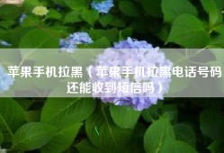 苹果手机拉黑（苹果手机拉黑电话号码还能收到短信吗）