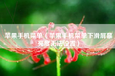 苹果手机菜单（苹果手机菜单下滑屏幕亮度无法设置）