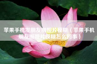 苹果手机发朋友圈照片模糊（苹果手机朋友圈照片模糊怎么回事）