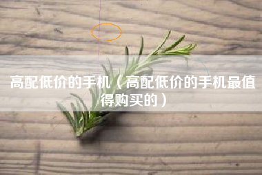 高配低价的手机（高配低价的手机最值得购买的）