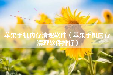 苹果手机内存清理软件（苹果手机内存清理软件排行）