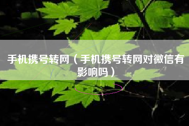 手机携号转网（手机携号转网对微信有影响吗）