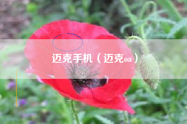 迈克手机（迈克oa）